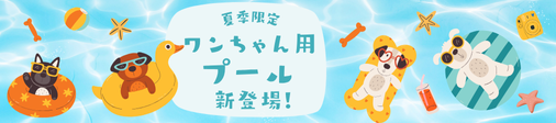 犬用プールバナー