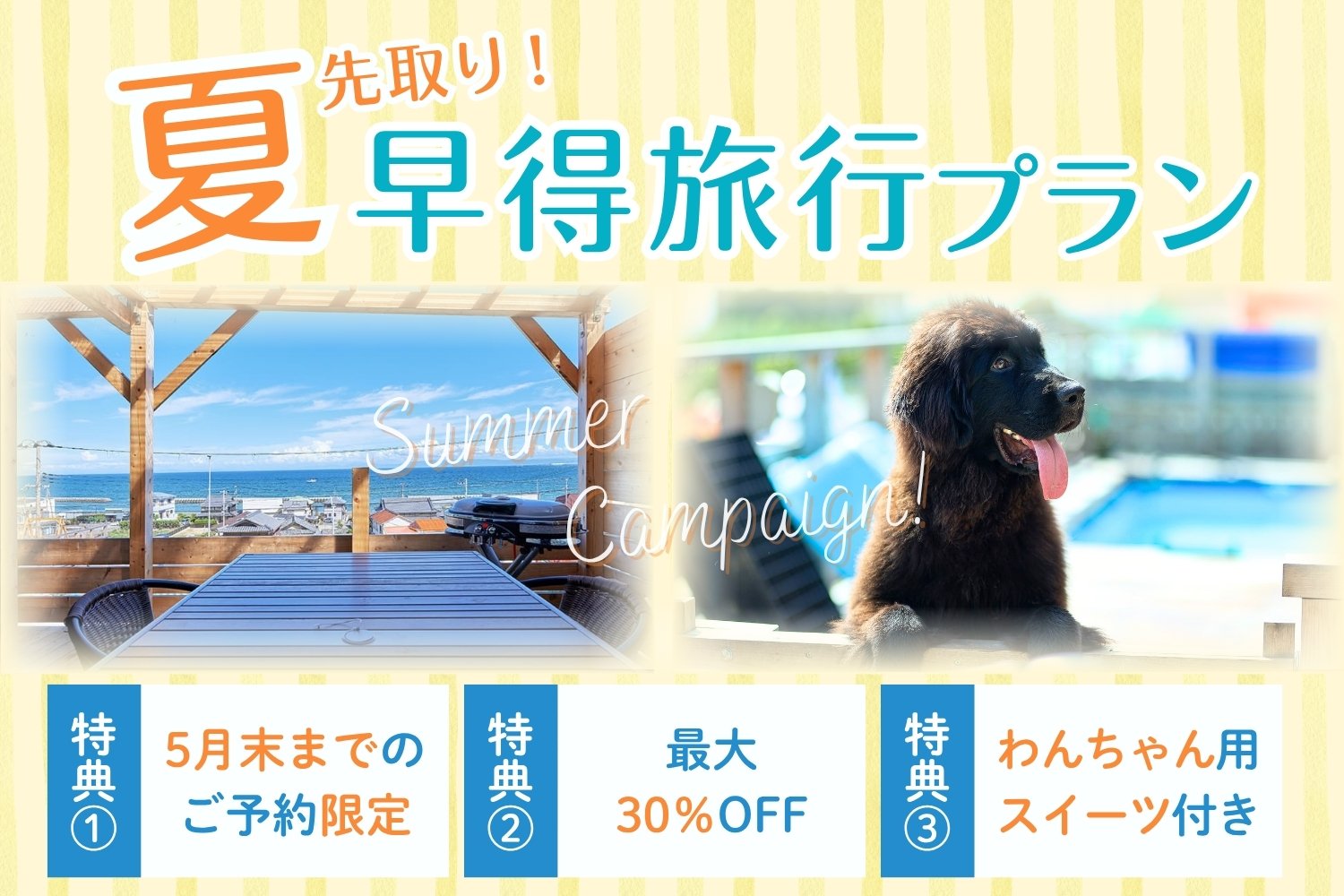 夏先取り！早得旅行プラン