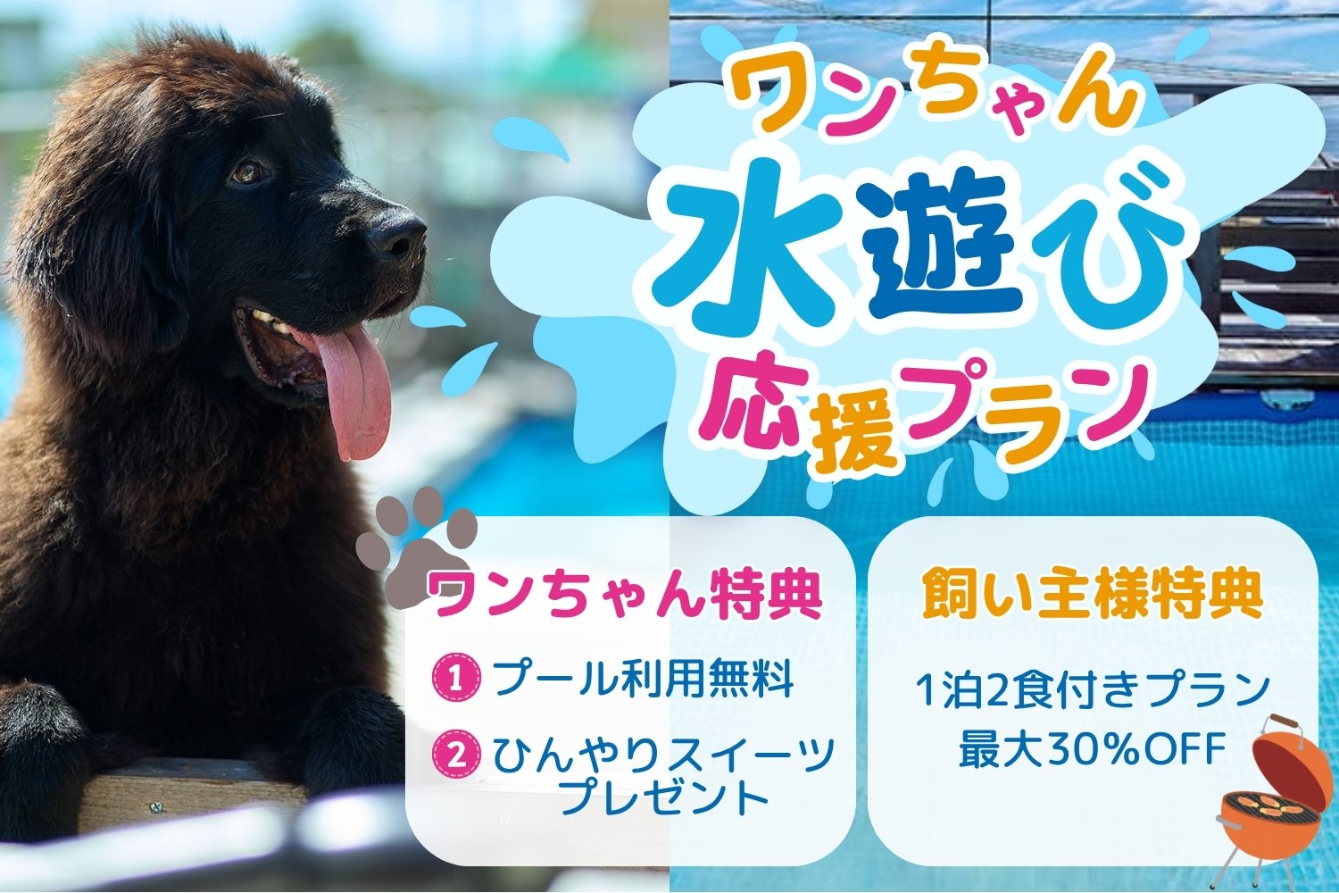 ワンちゃん水遊び応援プラン最大30％OFF