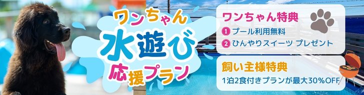 ワンちゃん水遊び応援プラン最大30％OFF