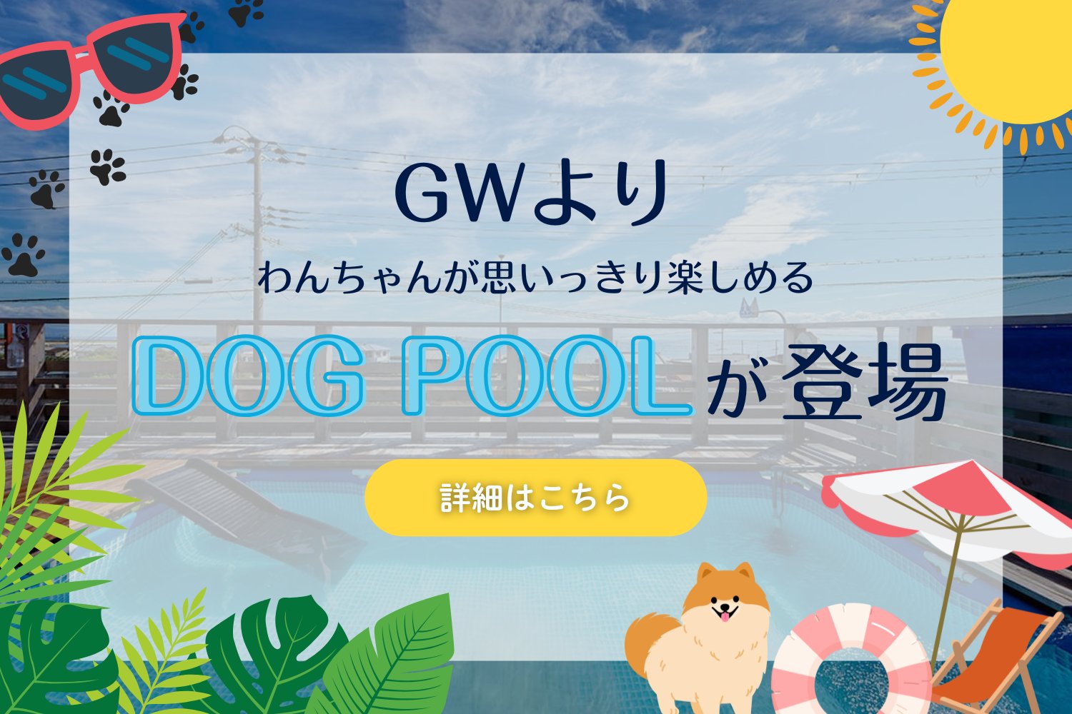 ドッグプールが登場