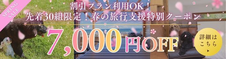 スプリングクーポン